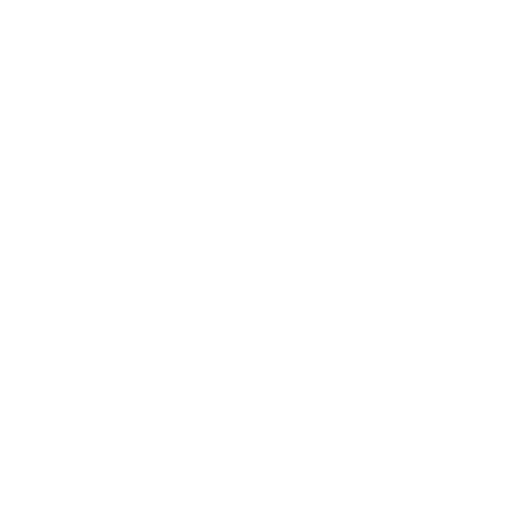 SDP Business Studio